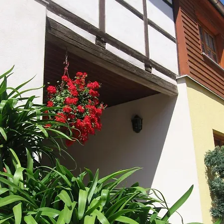 Kastanienhof 酒店 Zeulenroda-Triebes