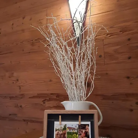 酒店 Kastanienhof Zeulenroda-Triebes