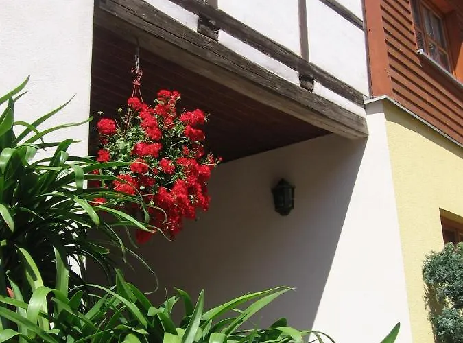 Kastanienhof Otel Zeulenroda-Triebes